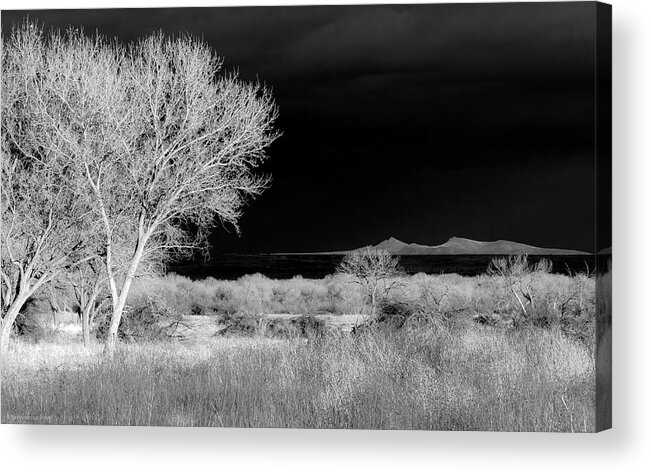 Infrared Acrylic Print featuring the photograph Bosque del Apache - Infrared by Britt Runyon