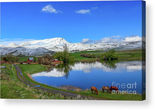 Ranch Acrylic Print featuring the photograph Butte Farm After Spring Snow by Robert Bales