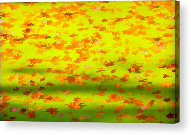 David Letts Acrylic Print featuring the painting Colorful Leaves on Canal by David Letts