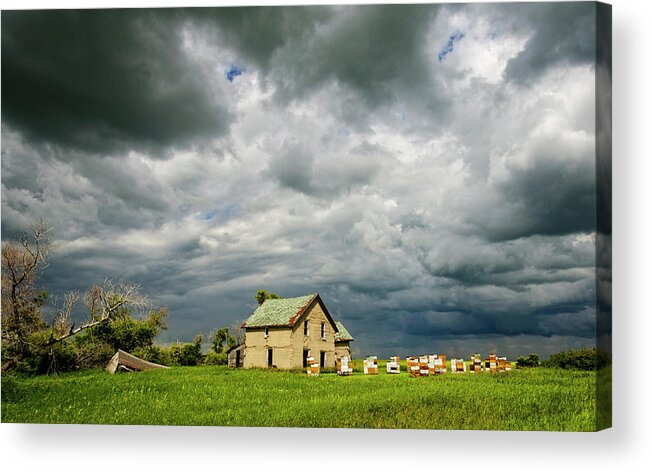 Manitoba Acrylic Print featuring the photograph Convergence by Sandra Parlow