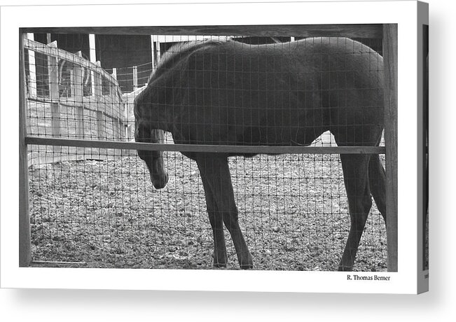  Acrylic Print featuring the photograph Curves by R Thomas Berner