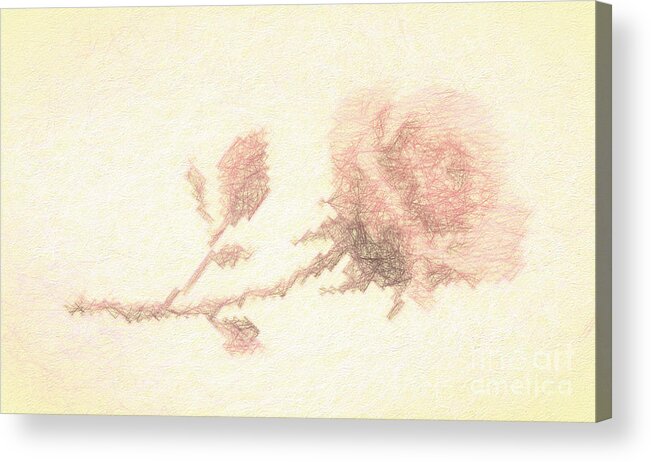 Artistic Acrylic Print featuring the photograph Etched red Rose by Linda Phelps