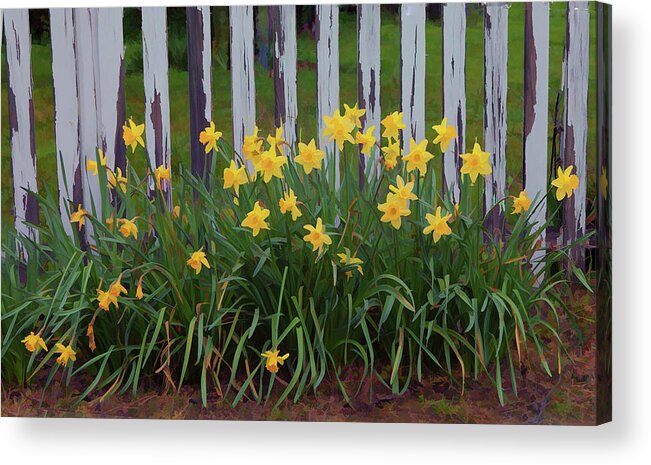 Gardens Acrylic Print featuring the photograph Garden Fence by Floyd Hopper