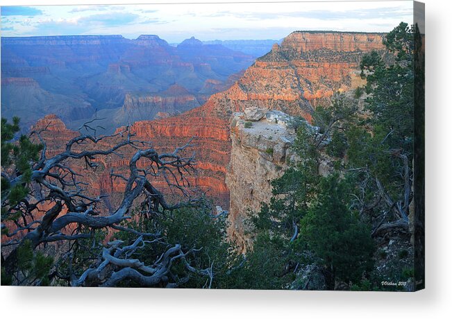 Grand Canyon Acrylic Print featuring the photograph Grand Canyon South Rim - Red Hues At Sunset by Victoria Oldham