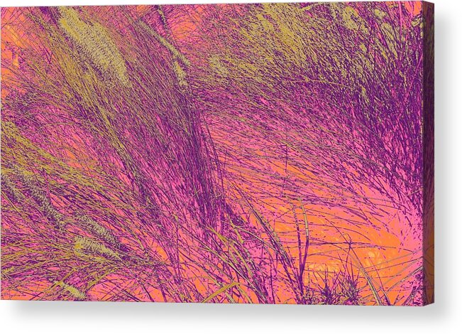  Acrylic Print featuring the photograph Grass Abstract 3 by Donna Spadola