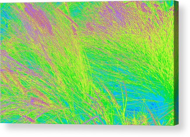  Acrylic Print featuring the photograph Grass Abstract 2 by Donna Spadola