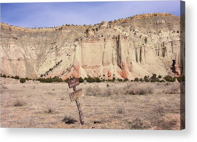Utah Acrylic Print featuring the photograph Kodachrome Flat Chimney rock by Viktor Savchenko
