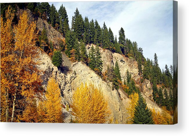 Fall Color Acrylic Print featuring the photograph Living on the Edge by Albert Seger
