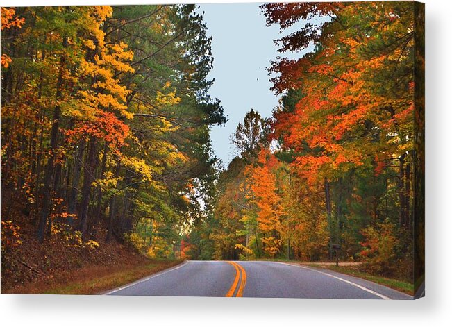 Trees Acrylic Print featuring the photograph Lovely Autumn Trees by Eileen Brymer