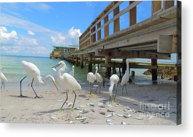 Wading Birds Acrylic Print featuring the photograph Lunch Time by Larry Mulvehill