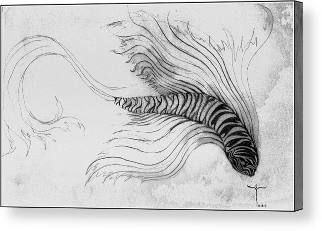  Acrylic Print featuring the drawing Megic Fish 3 by James Lanigan Thompson MFA