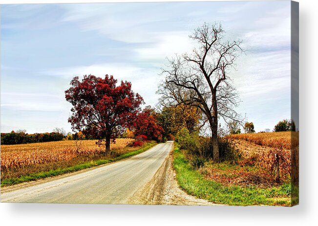 Roads Acrylic Print featuring the photograph Midwest Autumn by Pat Cook
