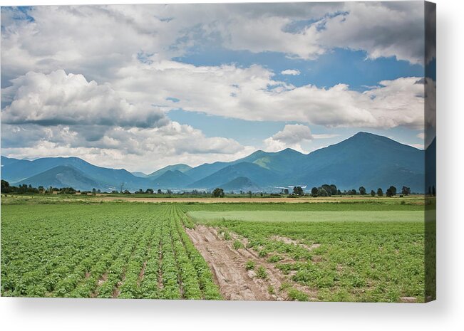 Cumulus Acrylic Print featuring the photograph Mountains and Fields by Kamen Ruskov