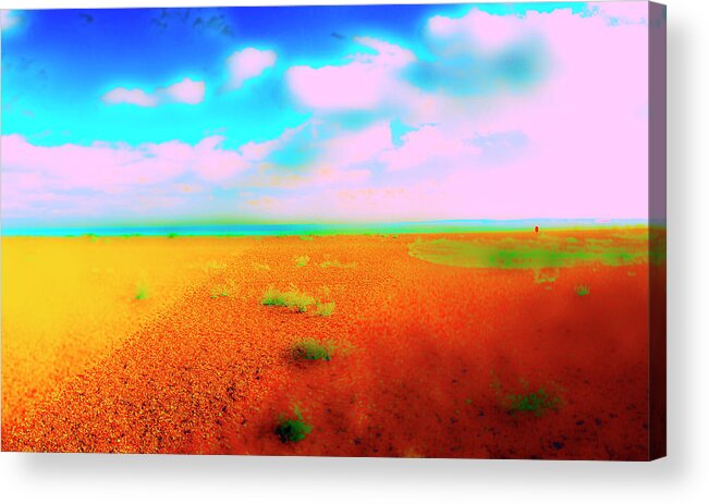 Sand Acrylic Print featuring the photograph Mulberry Land by Jan W Faul