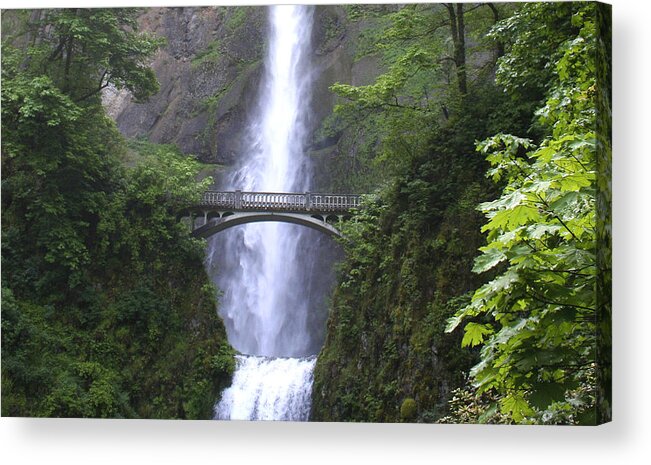 Waterfall Acrylic Print featuring the photograph Multnomah Falls WF1051A by Mary Gaines