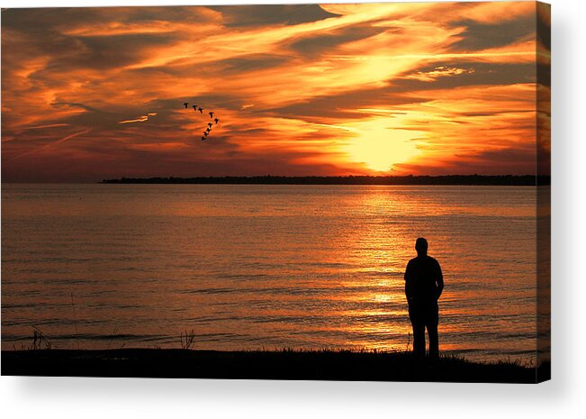 Sunset Acrylic Print featuring the photograph Observing The Sunset by Cathy Kovarik