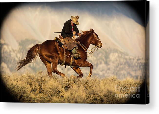 Hannah Acrylic Print featuring the photograph Outlaw Kelly Western Art by Kaylyn Franks by Kaylyn Franks