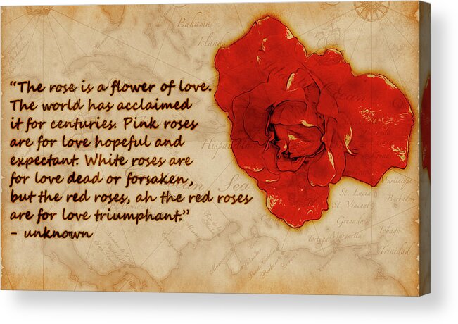 Rose Acrylic Print featuring the digital art Red Rose Significance by Jason Fink