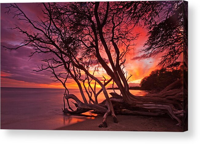 Maui Hawaii Olowalu Beach Ocean Trees Sunset Nature Acrylic Print featuring the photograph Red Sunset by James Roemmling