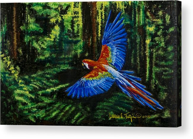 Macaw Acrylic Print featuring the drawing Scarlet Macaw in the Forest by Laurie Tietjen
