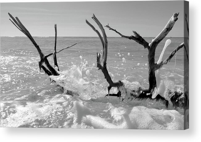 Photo For Sale Acrylic Print featuring the photograph Splash by Robert Wilder Jr