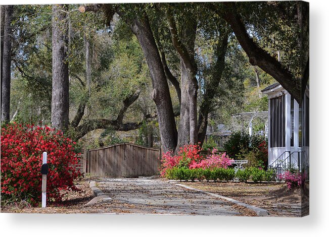 Flowers Acrylic Print featuring the photograph Spring Gate by Linda Brown