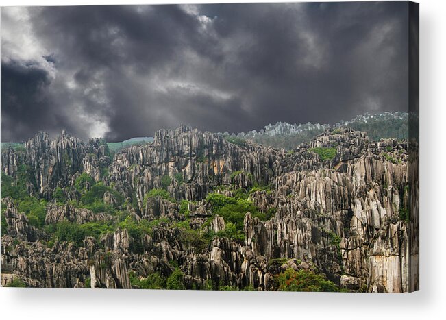  Acrylic Print featuring the photograph Stone Forest 3 by Robert Hebert