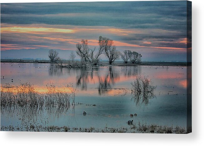 San Luis Wildlife Refuge Acrylic Print featuring the photograph Sunset at San Luis  by Patricia Dennis