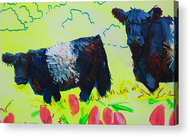 Belted Galloway Cows Acrylic Print featuring the painting Two Belted Galloway Cows Looking At You by Mike Jory