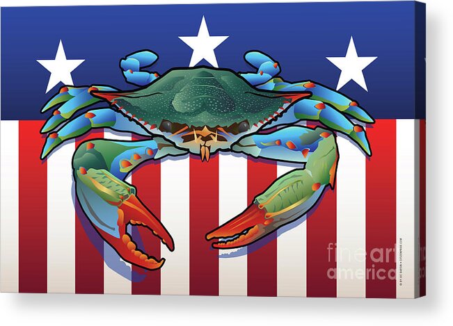 Blue Crab Acrylic Print featuring the digital art USA Blue Crab by Joe Barsin