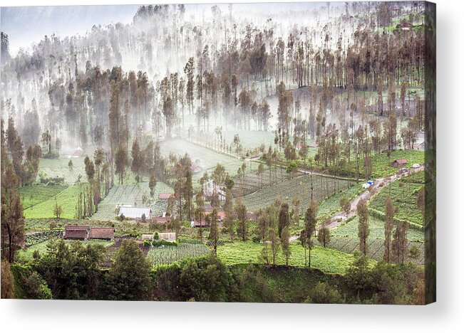 Landscape Acrylic Print featuring the photograph Village covered with mist by Pradeep Raja Prints