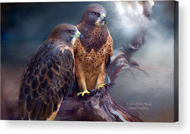Hawk Acrylic Print featuring the mixed media Vision Of The Hawk by Carol Cavalaris