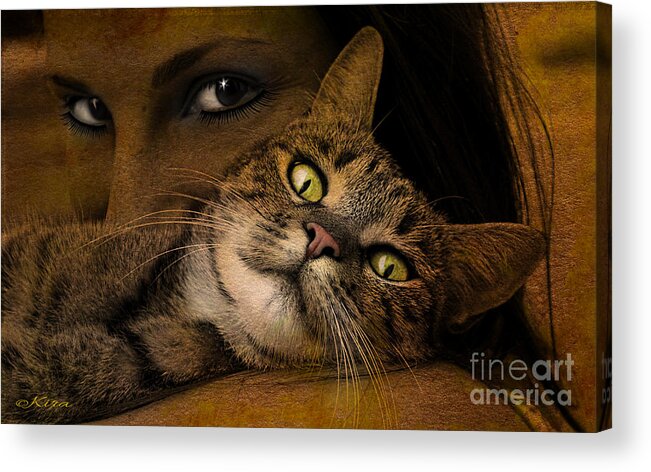 Cat Acrylic Print featuring the photograph When I'm too tired to walk by Kira Bodensted