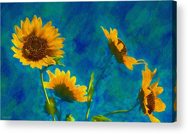 Sunflower Acrylic Print featuring the photograph Wild Sunflowers Singing by Anna Louise
