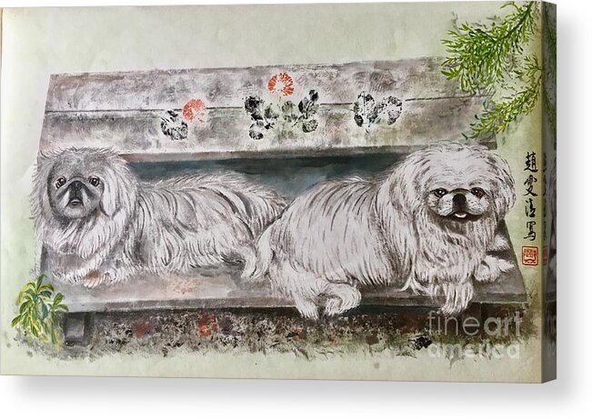 Pekes Dog Acrylic Print featuring the painting Two Pekes Dogs by Carmen Lam