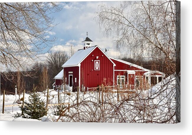 Landscape Acrylic Print featuring the photograph Broken Creek Vineyard by Monika Salvan