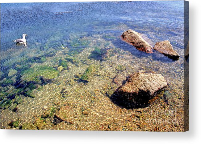 By The Bay Acrylic Print featuring the photograph By The Bay by Michael Rock