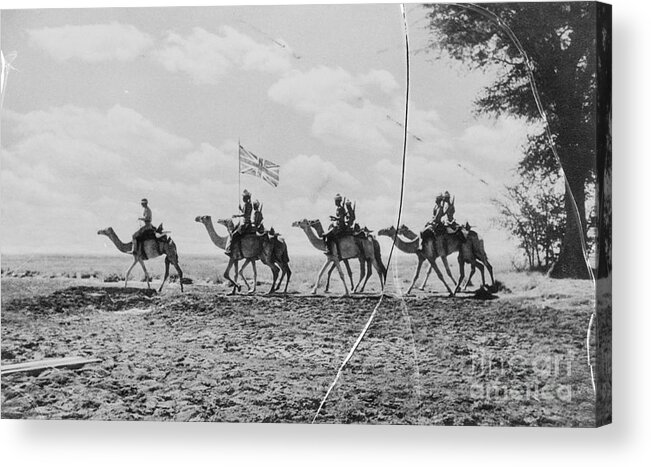 People Acrylic Print featuring the photograph Camel Corps Carry Union Jack by Bettmann