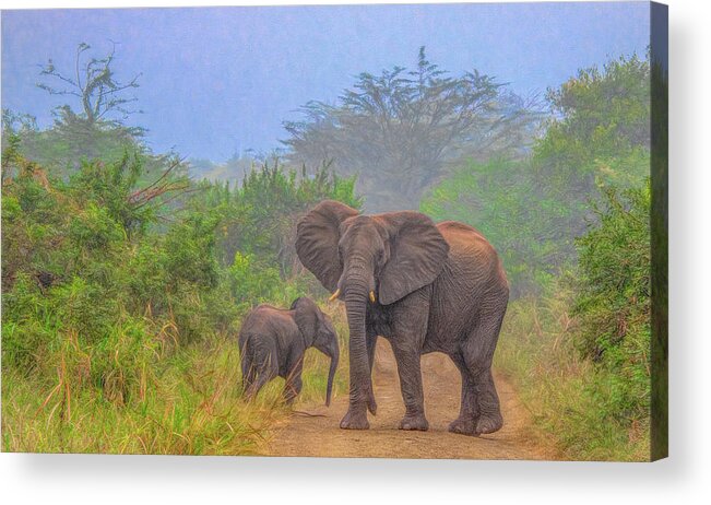 Hluhluwe National Park Acrylic Print featuring the photograph Early Morning Safari Surprise by Marcy Wielfaert