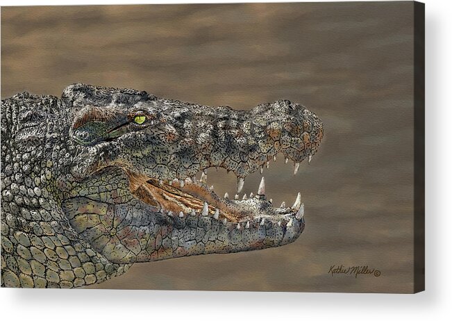 Crocodile Acrylic Print featuring the painting Nile Crocodile by Kathie Miller