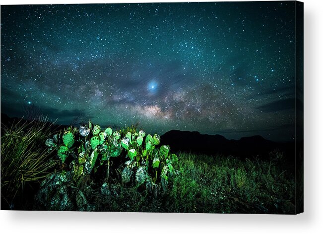 Big Bend Acrylic Print featuring the photograph Prickly Pear Beneath the Milky Way by David Morefield