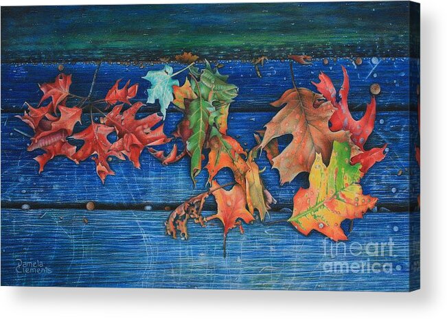 Four Seasons Acrylic Print featuring the drawing Primary Season by Pamela Clements