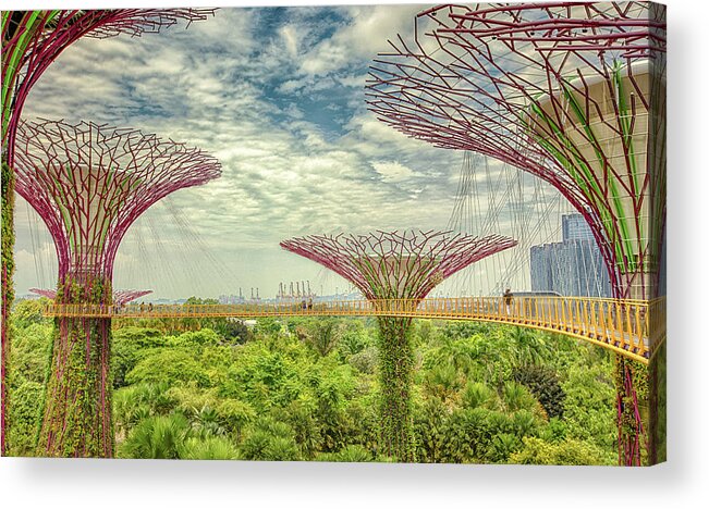 Chriscousins Acrylic Print featuring the photograph SuperTree Grove by Chris Cousins