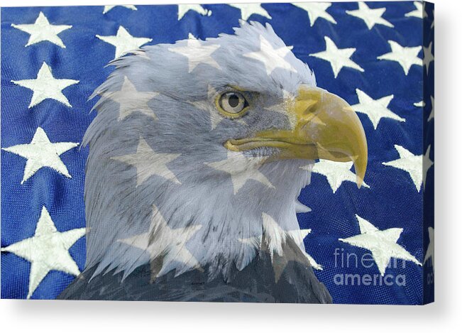 Transparent Acrylic Print featuring the photograph Transparent Bald Eagle Image Over Usa by Wwing