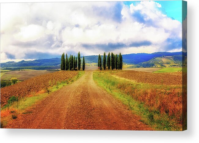 Tuscany Acrylic Print featuring the photograph Tuscan Road by Lev Kaytsner