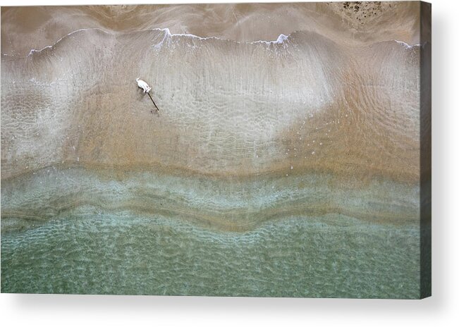 Animal Running Acrylic Print featuring the photograph Drone aerial of white Dog running and playing at empty sandy beach by Michalakis Ppalis