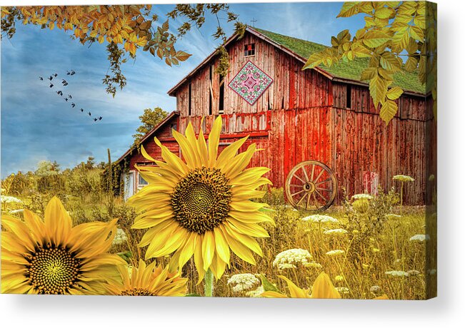 Barns Acrylic Print featuring the photograph Golden Sunflowers Red Barn II by Debra and Dave Vanderlaan