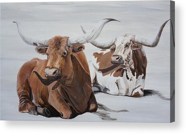 Cattle Acrylic Print featuring the painting Longhorn by Elissa Ewald