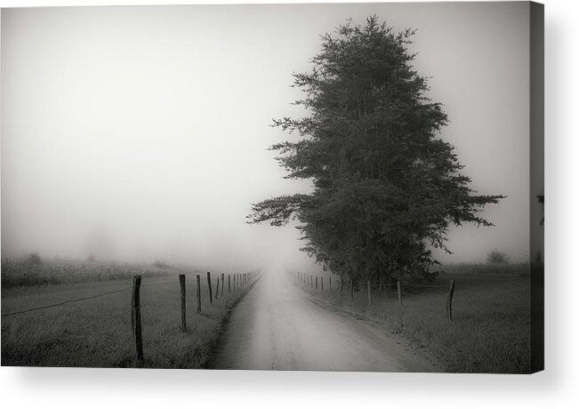 Landscapes Acrylic Print featuring the photograph Morning on a Country Road by David Hilton