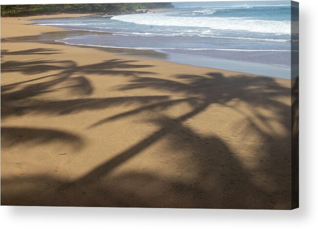 Hawaii Acrylic Print featuring the photograph Palm Shadow by Tony Spencer